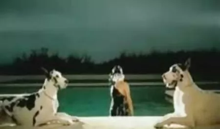Chick milking a free porn 2019 ride