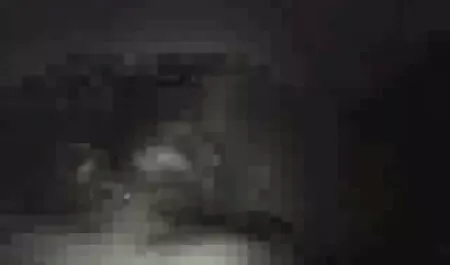 Organize a bacchanal in best pov porn sites nature